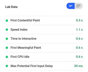 google page speed lab data for schema lite