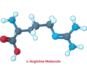L-arginine, L-arginine molecule