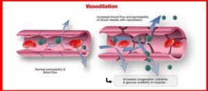 vasolidation, arteries dilate, blood vessels dilate
