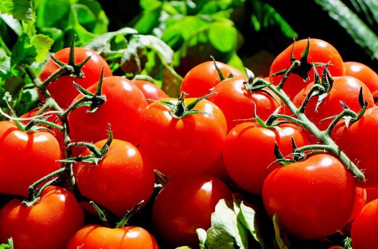 Why Your Blood Needs Lycopene (Know The Benefits)