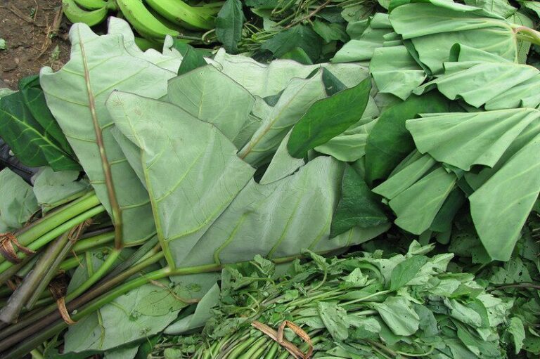 Fresh cocoyam leaves at a local market — one of the top 7 foods that unclog arteries naturally, backed by clinical research.